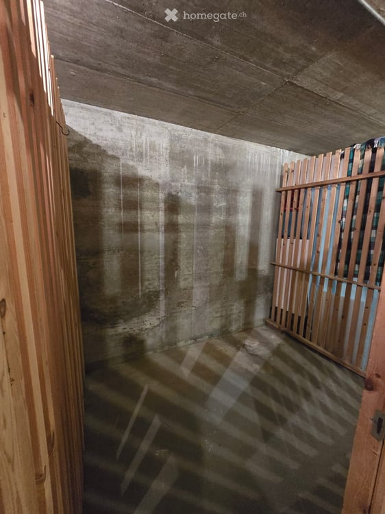 3.5 Zimmer - Charmantes Bijoux in Solothurn – frisch renoviert an ruhiger Lage 19