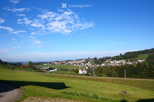 Grosses 8.5 Zimmer Einfamilienhaus mit sehr schöner Aussicht 4