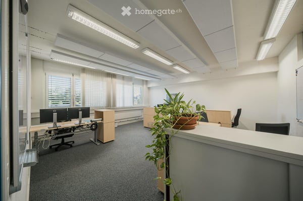 Ohne Stau ins Büro 7
