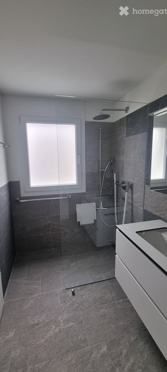 Helle 2.5 Zimmer Attikawohnung 3