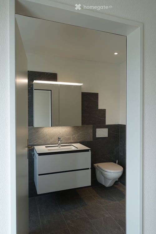 Helle 2.5 Zimmer Attikawohnung 6