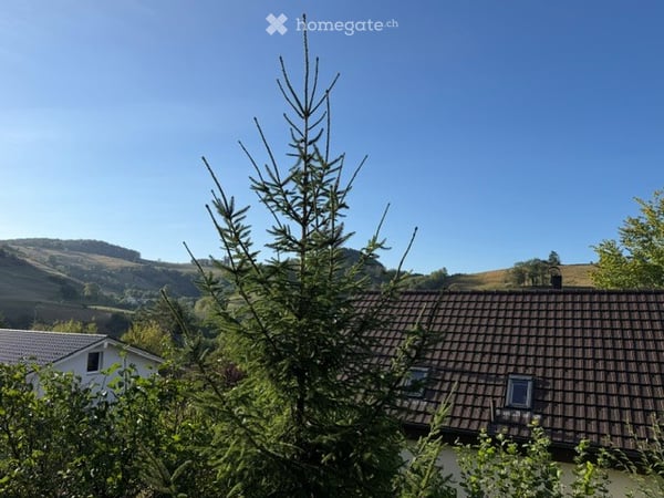 Charmantes 4.5-Zimmer-Einfamilienhaus in Wisen SO – Sofort verfügbar! 52