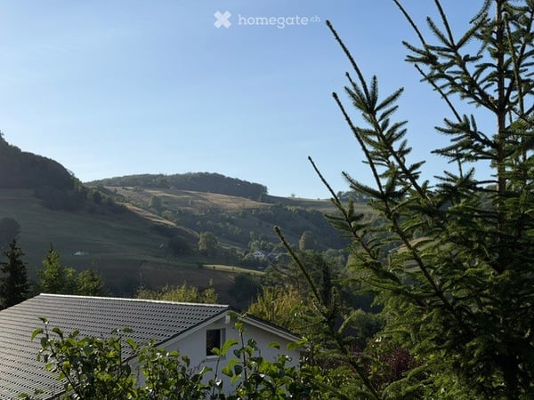 Charmantes 4.5-Zimmer-Einfamilienhaus in Wisen SO – Sofort verfügbar! 54