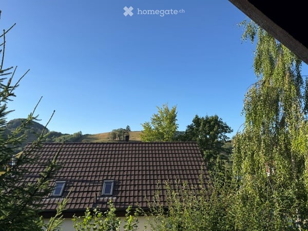 Charmantes 4.5-Zimmer-Einfamilienhaus in Wisen SO – Sofort verfügbar! 53