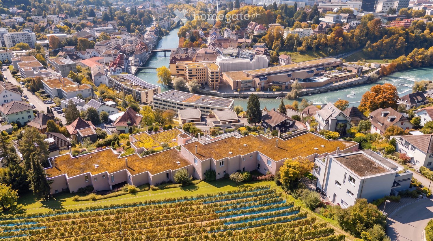 Aerial view of a cityscape with a mix of residential and commercial buildings, surrounded by greenery and a river running through the area.
