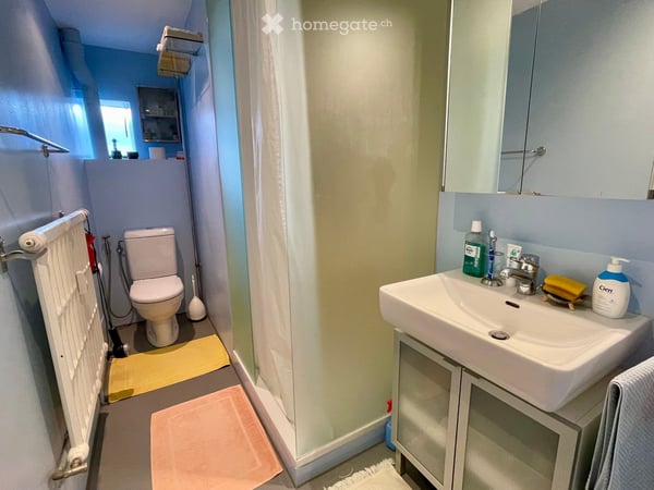 Einzigartige 3,5-Zimmer-Wohnung mit Dachterrasse und Panoramablick 10