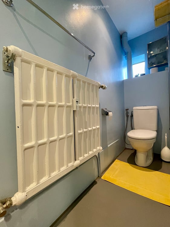 Einzigartige 3,5-Zimmer-Wohnung mit Dachterrasse und Panoramablick 12