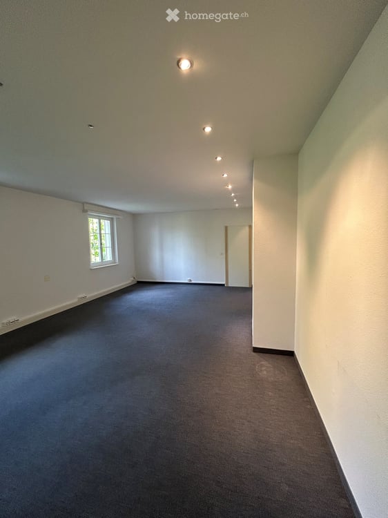 Helles 1.5-Zimmer-Büro an der Hauptstrasse in Frick 2