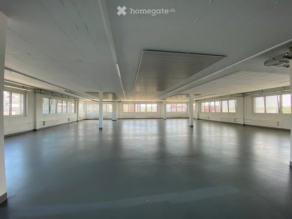 Attraktive Gewerbe- und Büroflächen an Top-Lage in Schenkon – direkt bei der A2 8