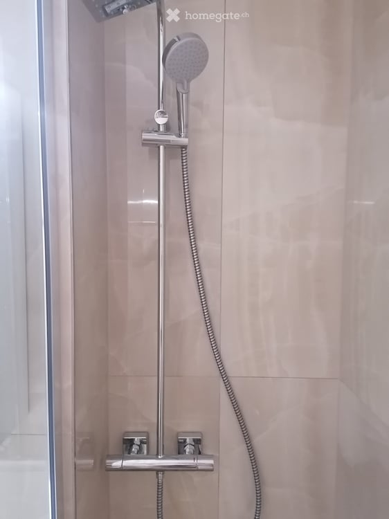 Frisch renovierte 3.5-Zimmer-Wohnung mit Balkon in Biel/Bienne – sofort verfügbar! 9