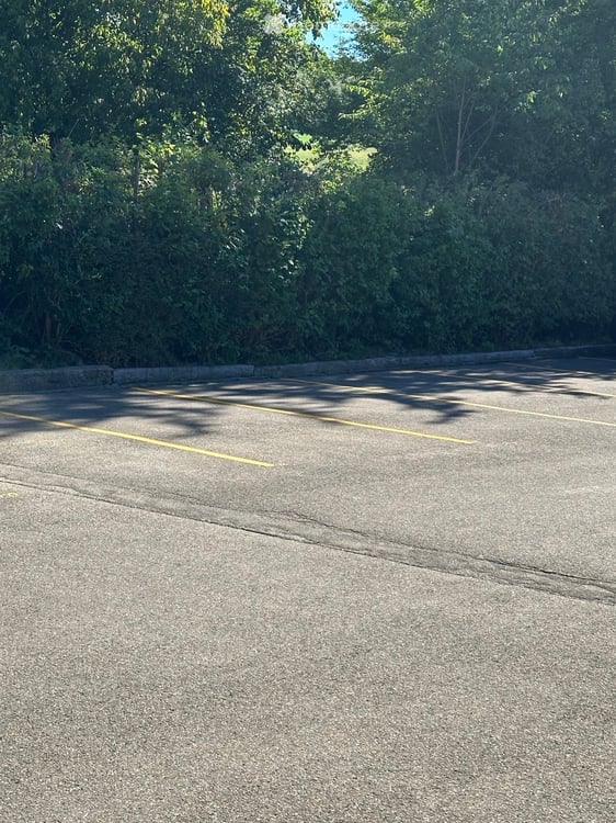 Stellplatz zu vermieten – Landstrasse 102, Spreitenbach 2