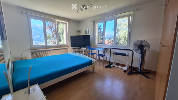 herrschaftliches Zweifamilienhaus in Frutigen - Grundstück mit Entwicklungspotenzial 6