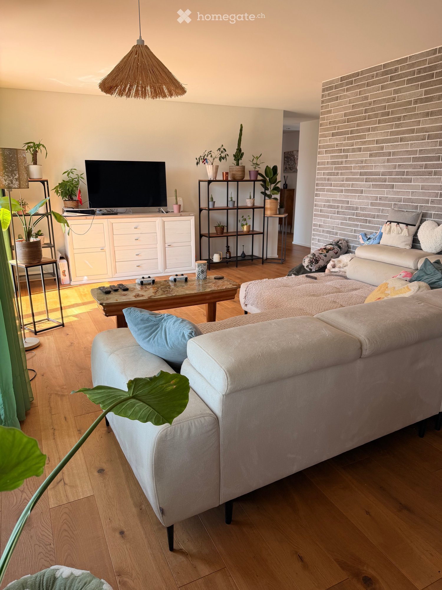 Modern living room with light-colored wooden flooring, a grey sectional sofa, a coffee table, a television, and several potted plants. The room features a wicker hanging light fixture and a brick accent wall.