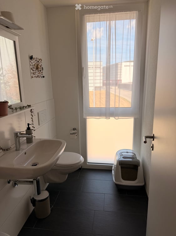 Moderne 3.5 Zimmer Neubau Wohnung in Nebikon 7