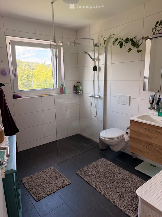 Moderne 3.5 Zimmer Neubau Wohnung in Nebikon 9