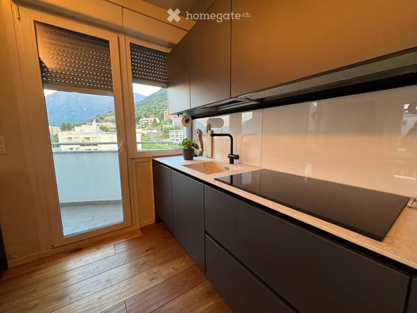 Stunning 2.5-Room Attic Apartment with Panoramic Lake & Mountain Views in Paradiso 7