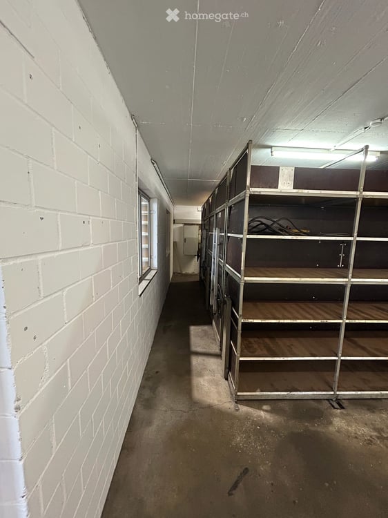 Geräumige Werkstatt / Gewerbehalle in Huttwil zu vermieten 12