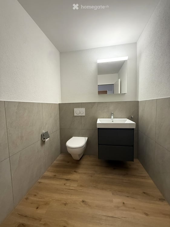 frisch renoviertes 5.5-Zimmer-Doppel-EFH an ruhiger Lage 10