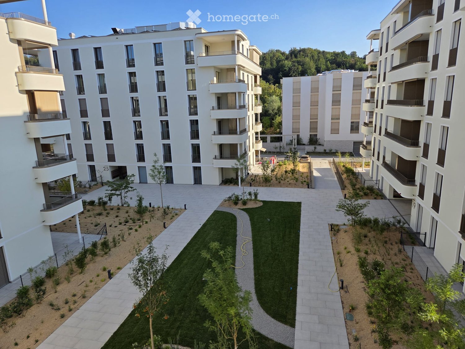 Courtyard area with pathways, small trees, and low shrubs between modern apartment buildings.