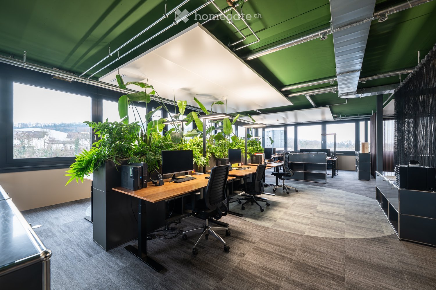 Modern office space with wooden desks, ergonomic chairs, multiple computer setups, and large green plants near large windows.
