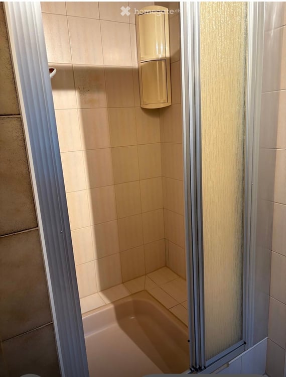 Charmante 1.5-Zimmer-Wohnung in Susten mit grosser Terrasse und kleinem Balkon 15