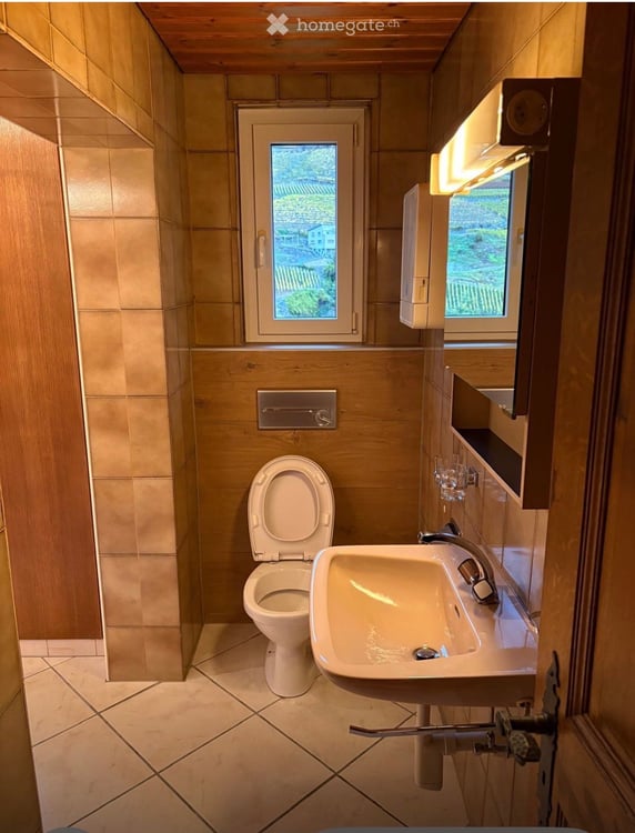 Charmante 1.5-Zimmer-Wohnung in Susten mit grosser Terrasse und kleinem Balkon 13
