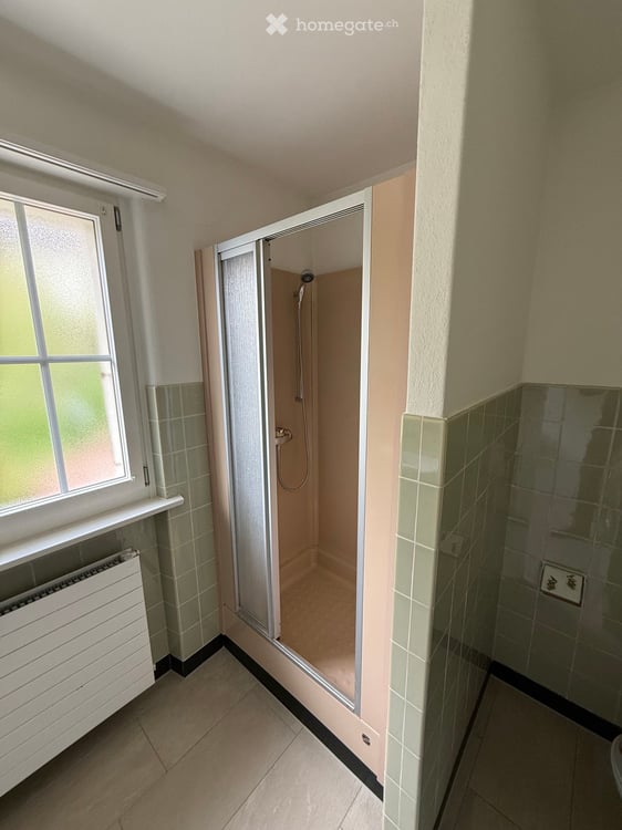 Freistehendes Einfamilienhaus mit 3 Garagen und fantastischer See- und Bergsicht in Hünibach 15