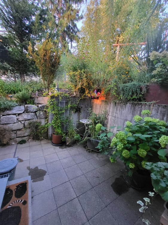 Weitblick nach Westen: 3.5-Zi-Gartenwohnung, 97 m² inkl. Hobbyraum, Garage und Parkplatz 11