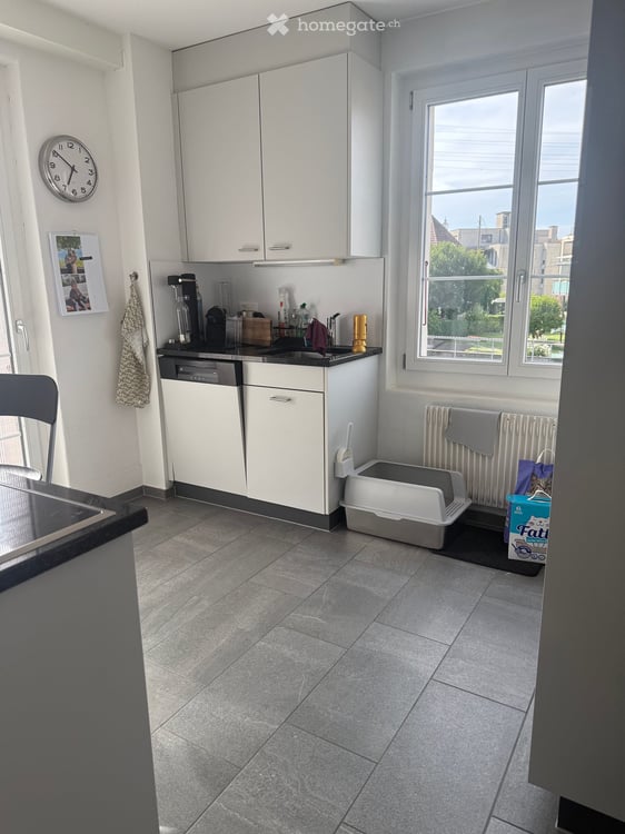 Charmante 4-Zimmer-Altbauwohnung mit Terrasse in Thun 3