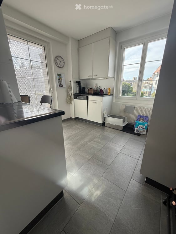 Charmante 4-Zimmer-Altbauwohnung mit Terrasse in Thun 2