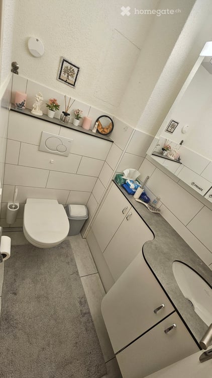 Wunderbare, möblierte, komplett ausgestattete bezugsfertige 2.5 (4.5)-Zimmer-Wohnungen mit Balkon 29