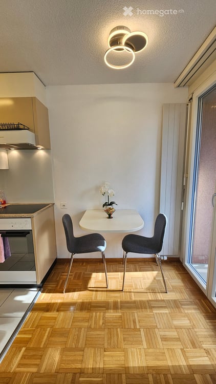 Wunderbare, möblierte, komplett ausgestattete bezugsfertige 2.5 (4.5)-Zimmer-Wohnungen mit Balkon 6