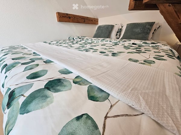 Tolle komplett eingerichtete, renovierte Wohnungen - im Zentrum von Meringen! 10