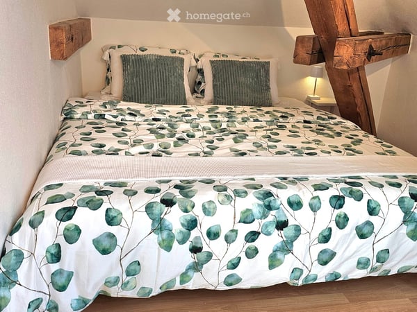 Tolle komplett eingerichtete, renovierte Wohnungen - im Zentrum von Meringen! 9
