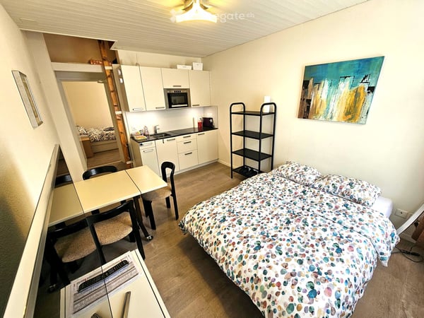 Tolle komplett eingerichtete, renovierte Wohnungen - im Zentrum von Meringen! 19