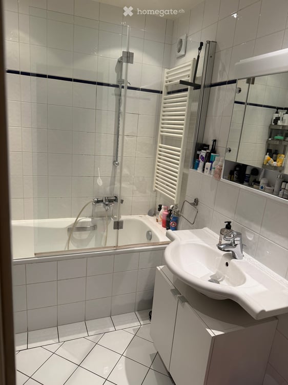 Beautiful, Light-Filled Apartment in Eaux-Vives / Florissant 6