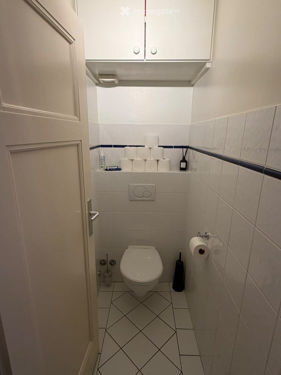 Beautiful, Light-Filled Apartment in Eaux-Vives / Florissant 7