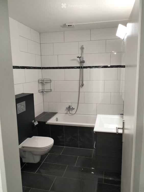 Duplex-/Maisonette-Wohnung in Bibern SH