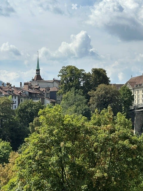 Geräumige 4.5-Zimmer-Wohnung mit herrlicher Aussicht 3