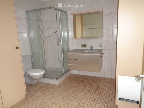 4.5‑Zimmer‑Wohnung mit Terrasse & Gartenanteil – neu renoviert, sofort verfügbar 5