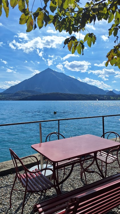 Residenz am Thunersee mit direktem Seezugang 13