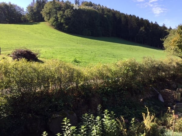 Heimelige, sehr ruhige und grosszügige 5 1/2-Zi-Wohnung in Bauernhaus in Bolligen im Erholungsgebiet 3