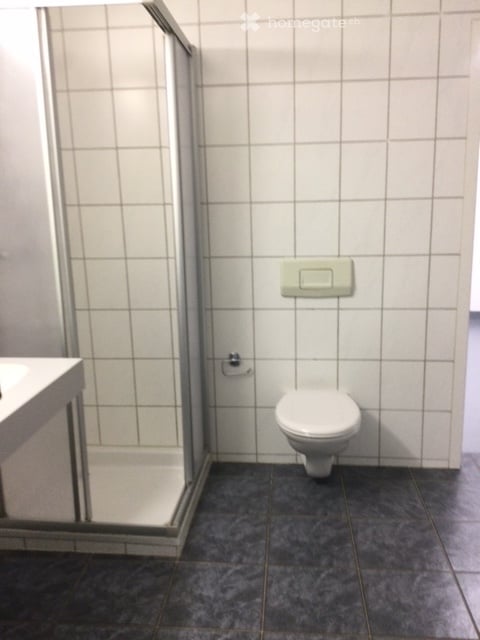 Heimelige, sehr ruhige und grosszügige 5 1/2-Zi-Wohnung in Bauernhaus in Bolligen im Erholungsgebiet 9