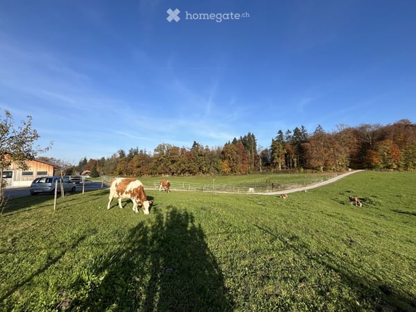 Traumwohnung auf dem Land mit Panoramablick – Ihre Oase in Uetendorf 9
