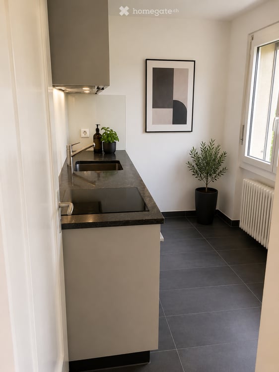 appartement avec une belle vue sur la verdure et buanderie privée 5