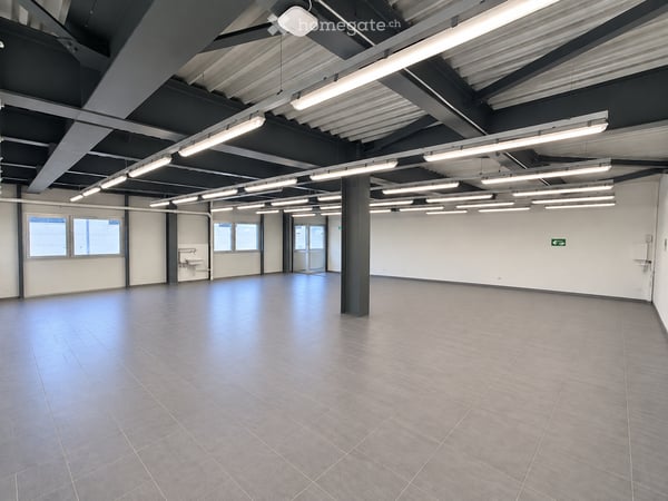 Rhône Parc – Local commercial de 350 m² à louer à Vétroz - Réf.: 10.1.14 4