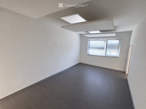 Rhône Parc – Local commercial de 350 m² à louer à Vétroz - Réf.: 10.1.14 1