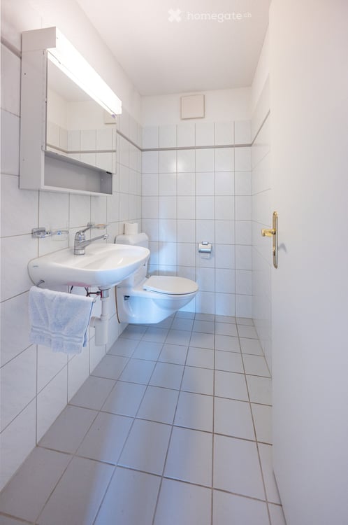Helle 4 ½ Zimmer-Wohnung an zentraler Lage zu vermieten 7