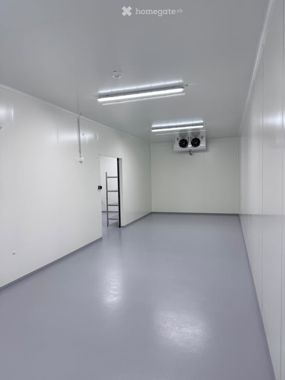 Denges – 560 m² avec 200 m² de chambres froides à remettre 12