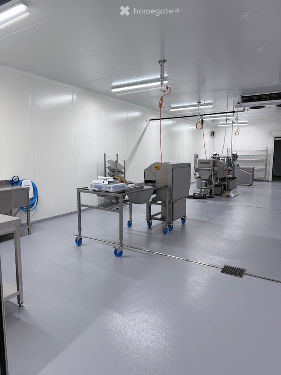 Denges – 560 m² avec 200 m² de chambres froides à remettre 7